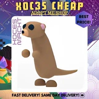 Meerkat