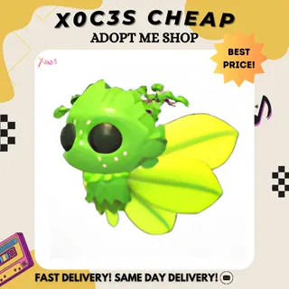 GAELIC FAE