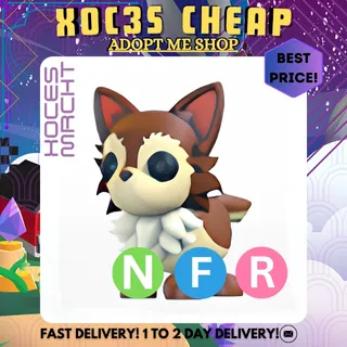 NFR Chihuahua 