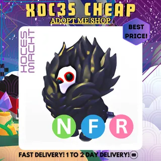 NFR Jacobin Pigeon