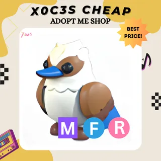 MFR KOOKABURRA
