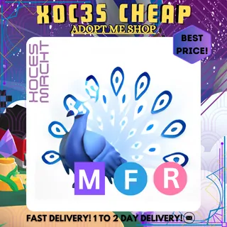 MFR Moonbeam Peacock