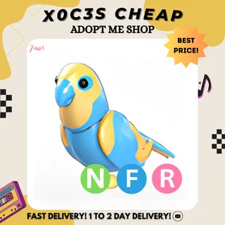 NFR DIAMOND AMAZON