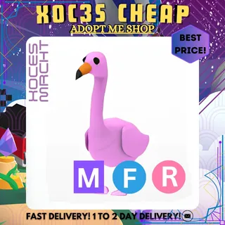 NFR Flamingo