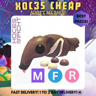 MFR Giant Anteater