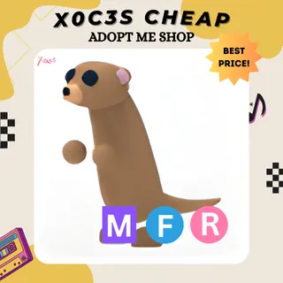 MFR MEERKAT