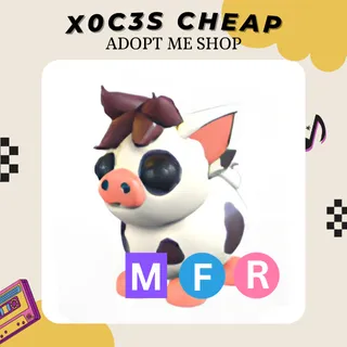 MFR MINI PIG