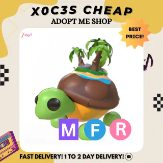 MFR TORTUGA DE LA ISLA