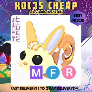 MFR Bunny Swirl