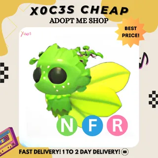NFR GAELIC FAE