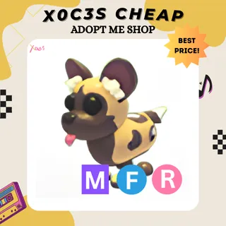 MFR AFRICAN WILD DOG