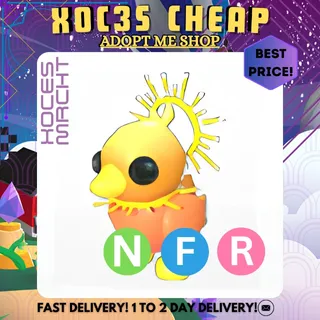 NFR Sunrise Duckling