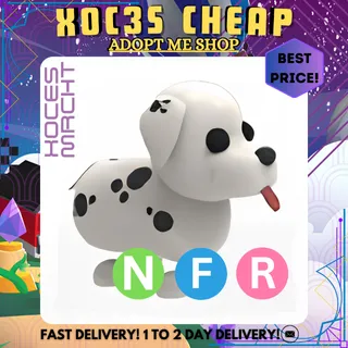 NFR Dalmatian