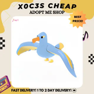 4X DIAMOND ALBATROSS