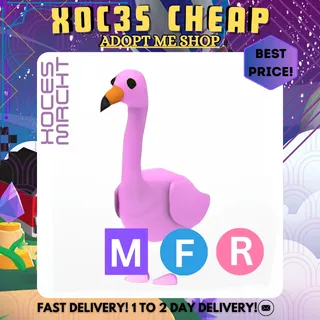 MFR Flamingo