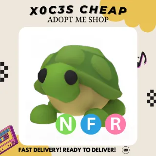 NFR TURTLE
