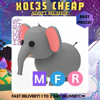 MFR Elephant