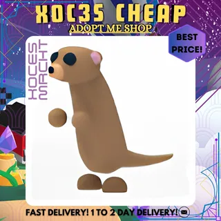 4x Meerkat