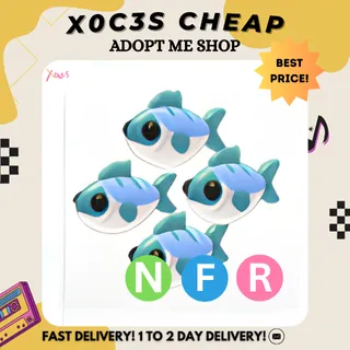NFR MANY MACKEREL