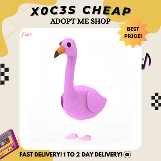 4X FLAMINGO