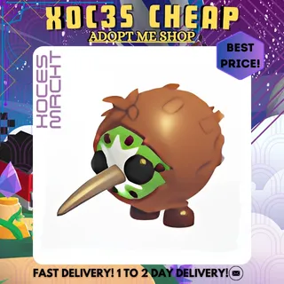 16x Kiwi Kiwi
