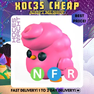 NFR Candyfloss Chick