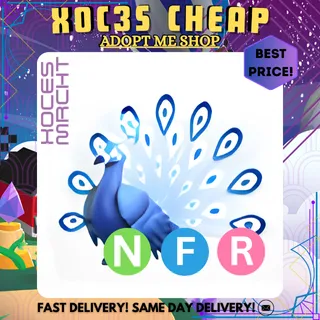 NFR Moonbeam Peacock