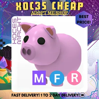 MFR Pig