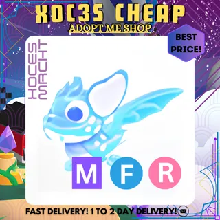 MFR Arctic Dusk Dragon