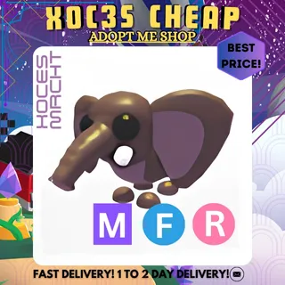 MFR Bush Elephant