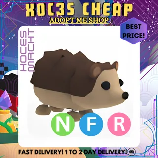 NFR Hedgehog