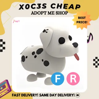 FR DALMATIAN