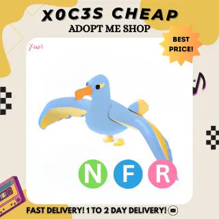 NFR DIAMOND ALBATROSS