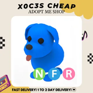 NFR BLUE DOG