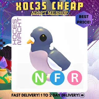 NFR Wood Pigeon