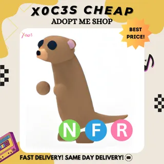 NFR MEERKAT