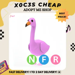 NFR FLAMINGO