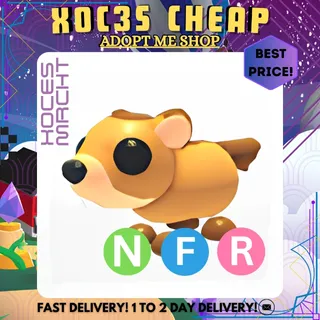 NFR Groundhog