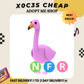 NFR FLAMINGO