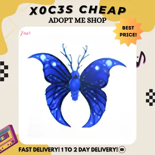4X MOONBEAM BUTTERFLY