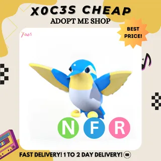 NFR DIAMOND HUMMINGBIRD