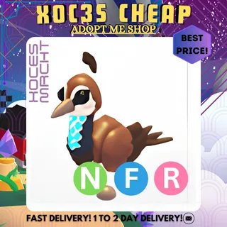 NFR Peahen