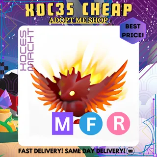 MFR Solaris Dragon