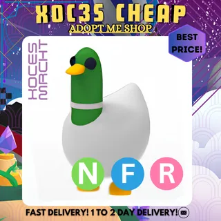 NFR Silly Duck