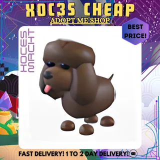 4x Irish Water Spaniel 