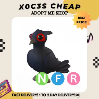 NFR BLACK CHESTED PHEASANT