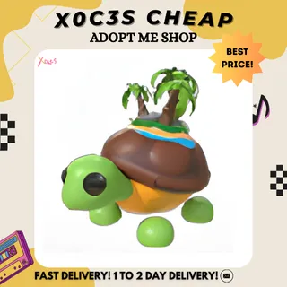 4X TORTUGA DE LA ISLA