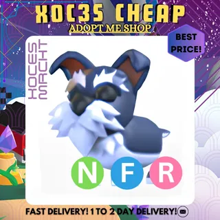 NFR Mini Schnauzer