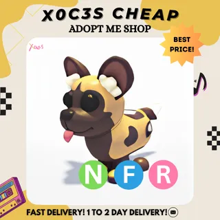 NFR AFRICAN WILD DOG
