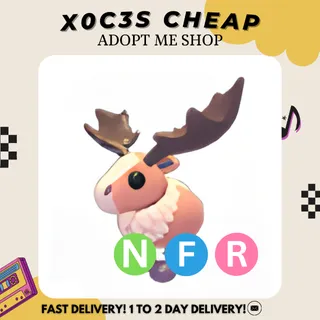 NFR PAPA MOOSE